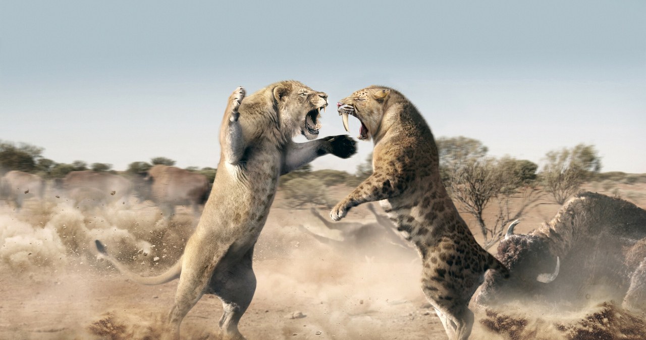 Wielkie drapieżniki wymarły. Potrafisz je rozpoznać i nazwać?