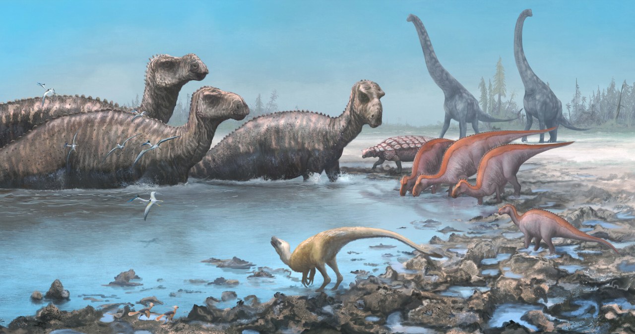 Dinozaury wymarły, gdy były u szczytu rozwoju. Gwałtownie przerwanego