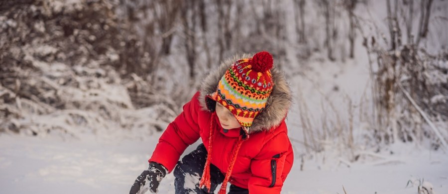 Śnieg pokrył Halę Gąsienicową już w zeszły piątek. W niedzielę śnieżyca zawitała na Dolny Śląsk i sparaliżowała ruch na odcinku od Babińca do granicy z Czechami. Kiedy natomiast śniegiem będą mogli cieszyć się mieszkańcy innych regionów Polski? Według najnowszych prognoz Instytutu Meteorologii i Gospodarki Wodnej przelotne opady śniegu - nie tylko w górach - mogą pojawić się w połowie listopada.