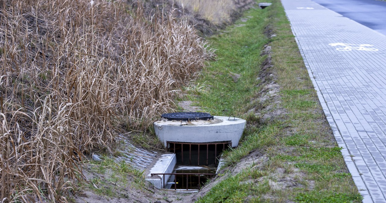 Poszedł rankiem na spacer. Zamarł na widok tego, co znalazł jego pies