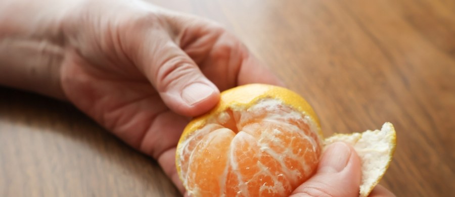 Mandarynka – owoc zakazany? Te osoby nie powinny po nią sięgać - Porady Jesień i zima to czas cytrusów. Chętnie je zjadamy w poszukiwaniu słońca i smaku lata, ale też doskonale komponują się choćby z rozgrzewającymi napojami. Nie bez znaczenia w sezonie infekcyjnym jest też fakt, że zawierają witaminę C, wzmacniająca odporność. Pomarańcze, grejpfruty, cytryny, limonki, mandarynki – zwłaszcza po te ostatnie najwygodniej jest sięgnąć w każdej chwili i najłatwiej choćby spakować na drugie śniadanie. Wydaje się, że są bezpieczne dla wszystkich – czy faktycznie tak jest?