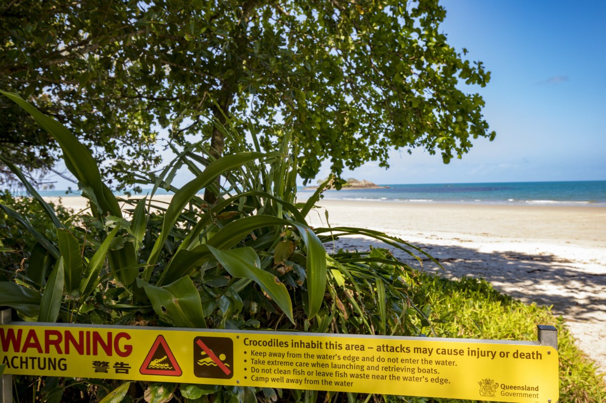 Dramat na rajskiej plaży: 14-latek zaatakowany przez krokodyla podczas wędkowania
