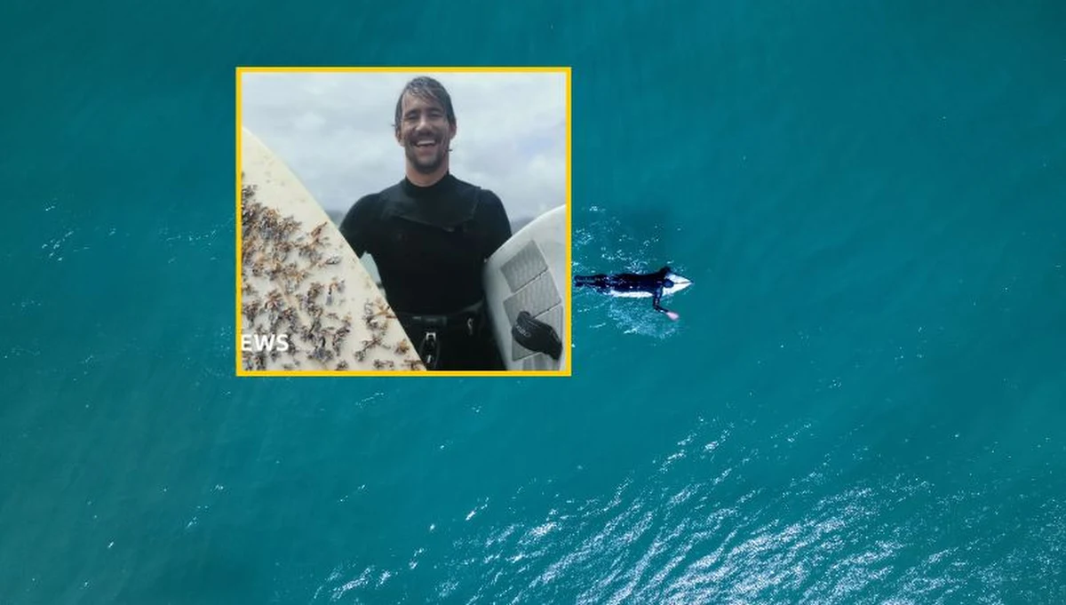 Specjalnie wykonana deska surfingowa, która zaginęła w maju 2024 roku u wybrzeży Tasmanii, została odnaleziona po blisko 18 miesiącach na zachodnim wybrzeżu Nowej Zelandii. Przemierzyła w tym czasie około 2400 kilometrów przez ocean.