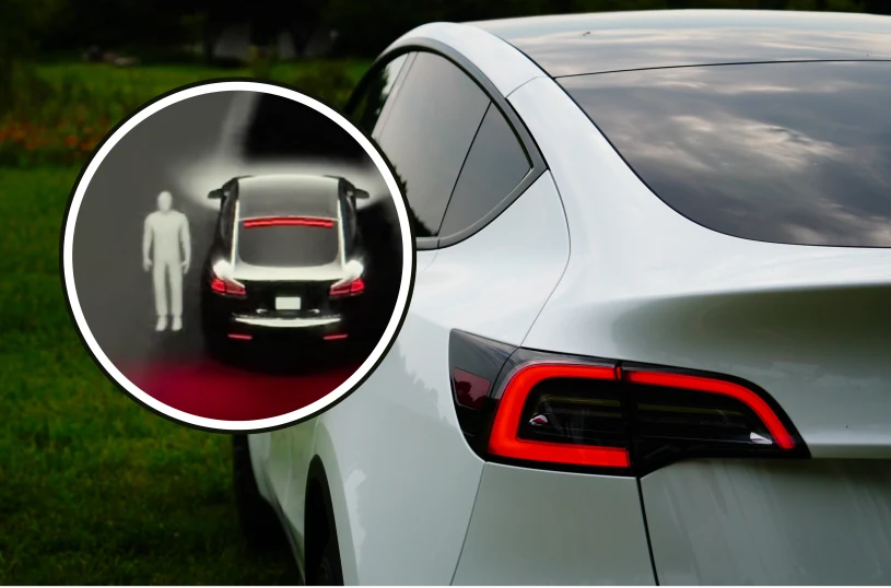 Tesla na cmentarzu "widzi" duchy? Eksperci rozwiewają wątpliwości