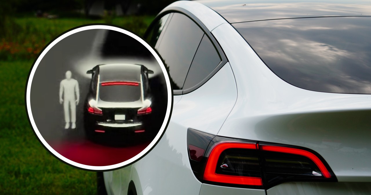 Tesla na cmentarzu "widzi" duchy? Eksperci rozwiewają wątpliwości