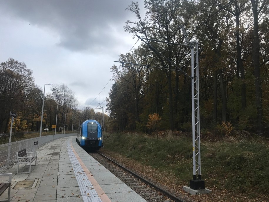 /Marcin Buczek /RMF FM