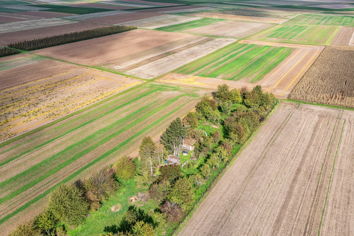 ​Umowa sprzedaży działki potrzebnej do budowy linii kolejowej do CPK nie zawiera postanowień uprawniających do wykonania umownego prawa odkupu - poinformował w poniedziałek Krajowy Ośrodek Wsparcia Rolnictwa. Dodano, że Ośrodek wystąpił w sierpniu do nabywcy o odsprzedaż działki, ale ten do dziś się na to nie zgadza.