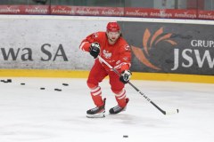 Hokej: Europejski Puchar Narodów w Sosnowcu - mecz: Polska - Słowenia