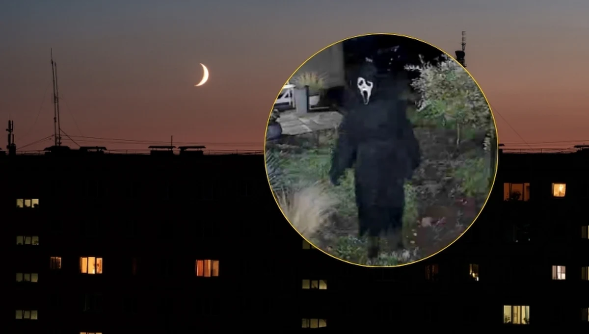 Sporego strachu najedli się niektórzy mieszkańcy Serocka i okolic (woj. mazowieckie). Wszystko za sprawą człowieka, który w przebraniu inspirowanym postacią z horroru, wchodził na cudze podwórka i zaglądał ludziom w okna.
