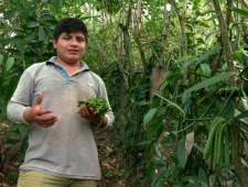 Sekrety świata przypraw