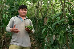 Sekrety świata przypraw