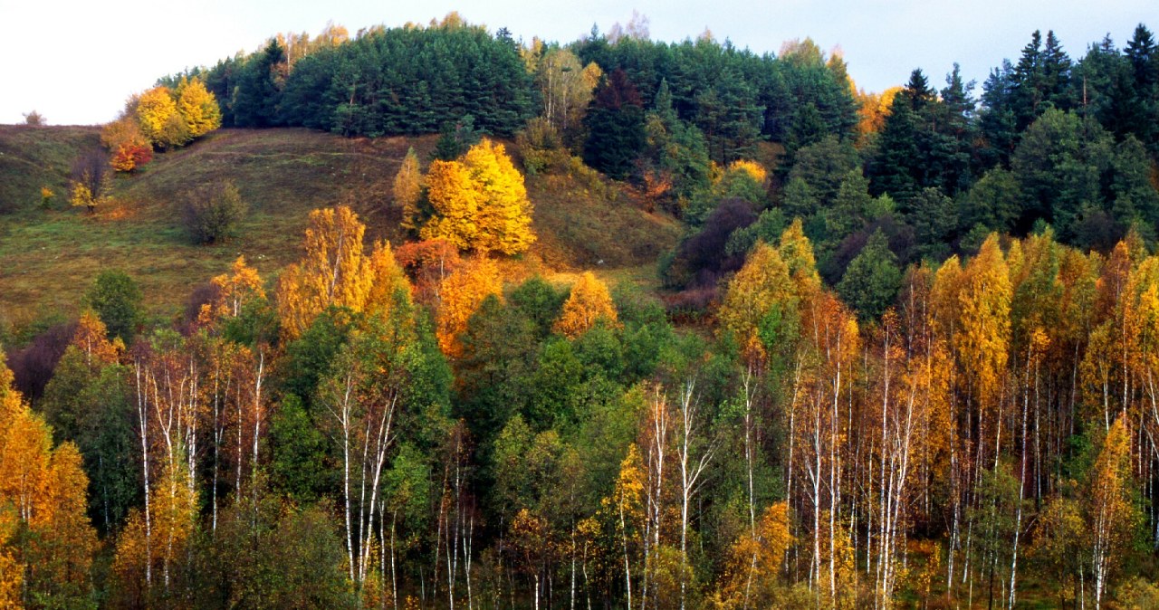 Mówią o nim "polski biegun zimna". To świetne miejsce na jesienną wycieczkę