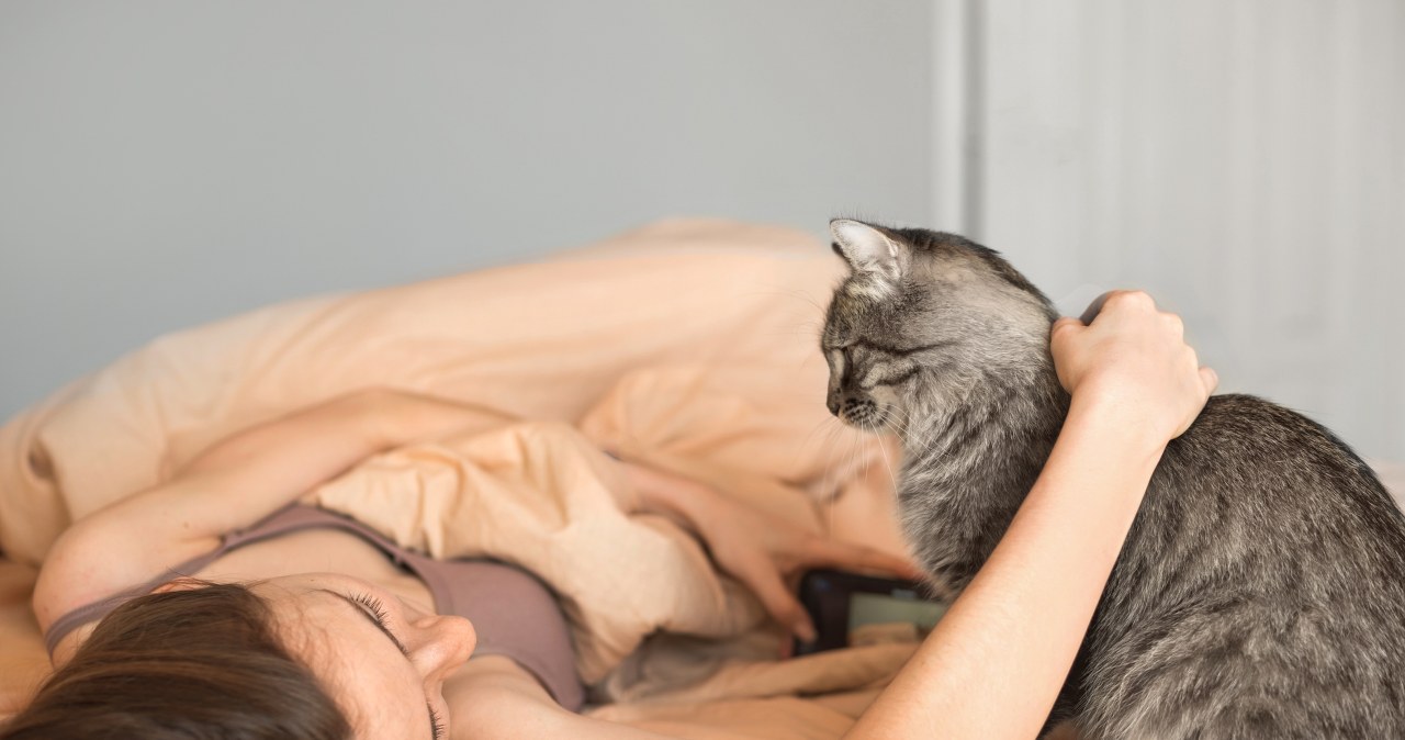 Kot chodzi po tobie, gdy śpisz? W jego geście jest więcej, niż myślisz