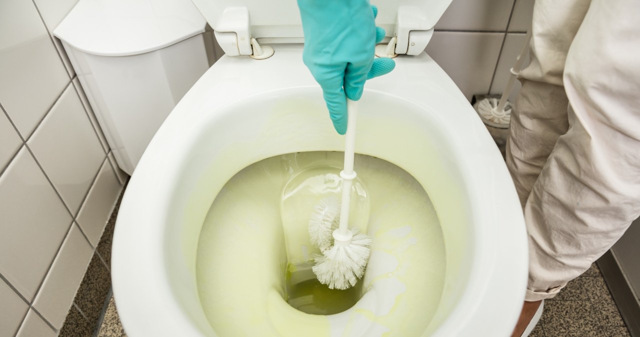 Najbrudniejsza rzecz w publicznej toalecie? To wcale nie deska