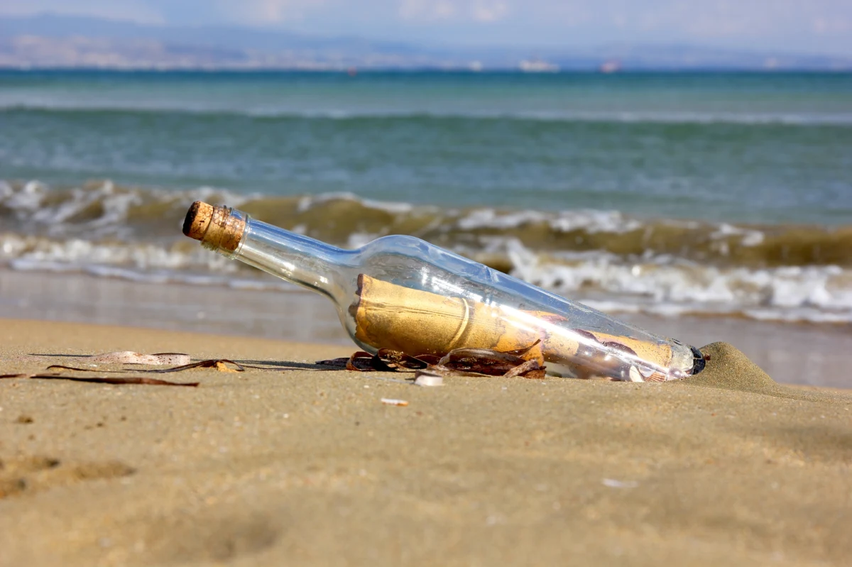 Na jednej z plaż w pobliżu miasta Esperance w stanie Australia Zachodnia doszło do odkrycia, które poruszyło nie tylko lokalną społeczność, ale i potomków australijskich żołnierzy walczących podczas I wojny światowej. 9 października rodzina Brownów podczas sprzątania plaży ze śmieci, natrafiła na grubą szklaną butelkę marki Schweppes. Wewnątrz znajdował się list napisany ponad sto lat temu przez dwóch młodych żołnierzy, którzy właśnie wyruszali na front do Europy.