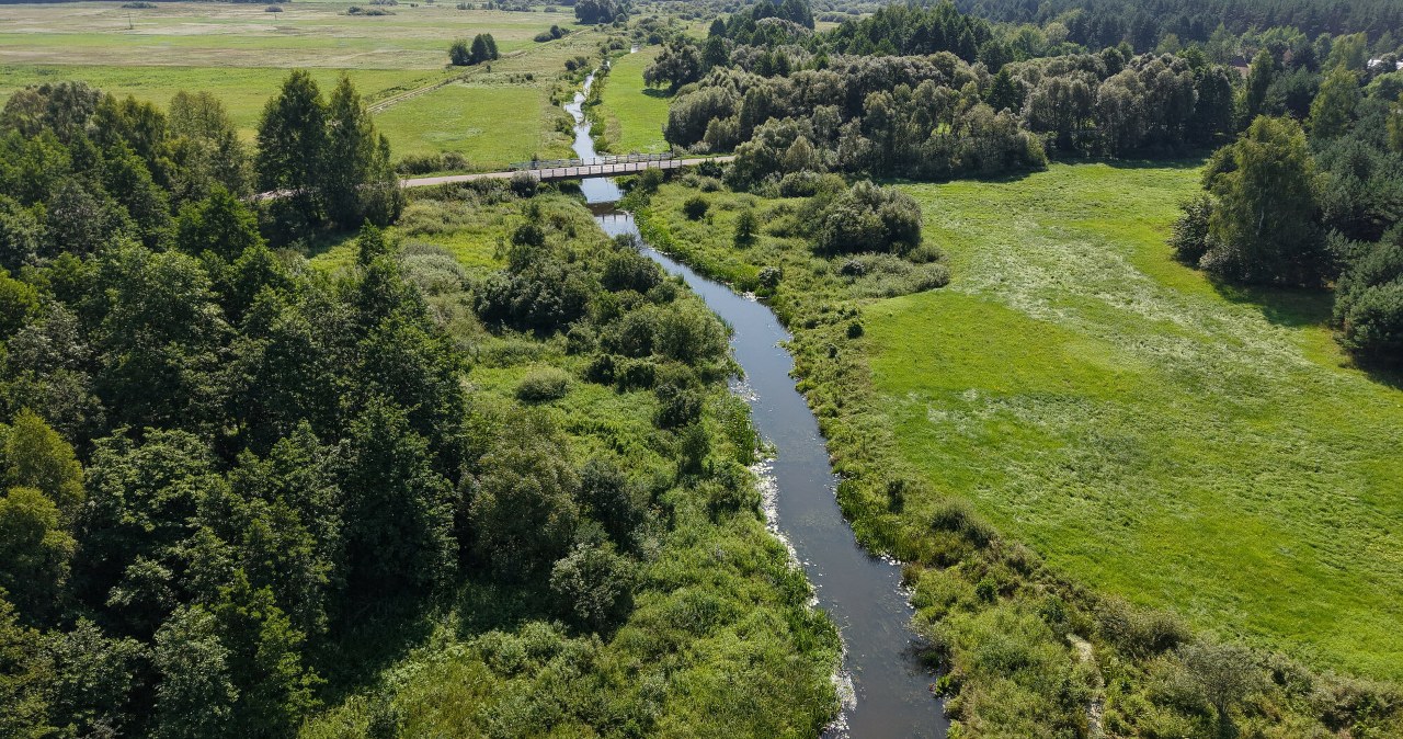 wiadomości,aktualności,Interia Stan Puszczy Białowieskiej jest 