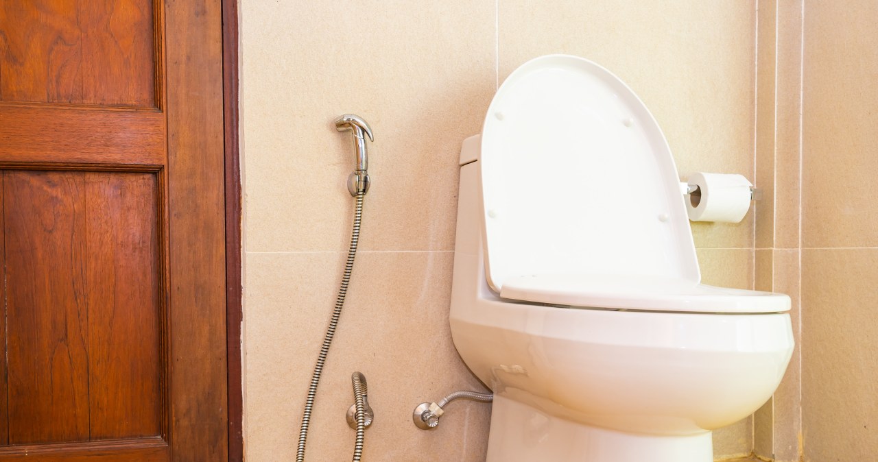 "Rumak czystości" odchodzi do lamusa? W łazienkach pojawia się nowy trend