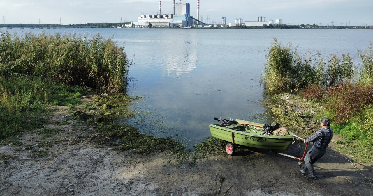 Gdzie będzie druga elektrownia atomowa w Polsce? „Jest superlokalizacja”