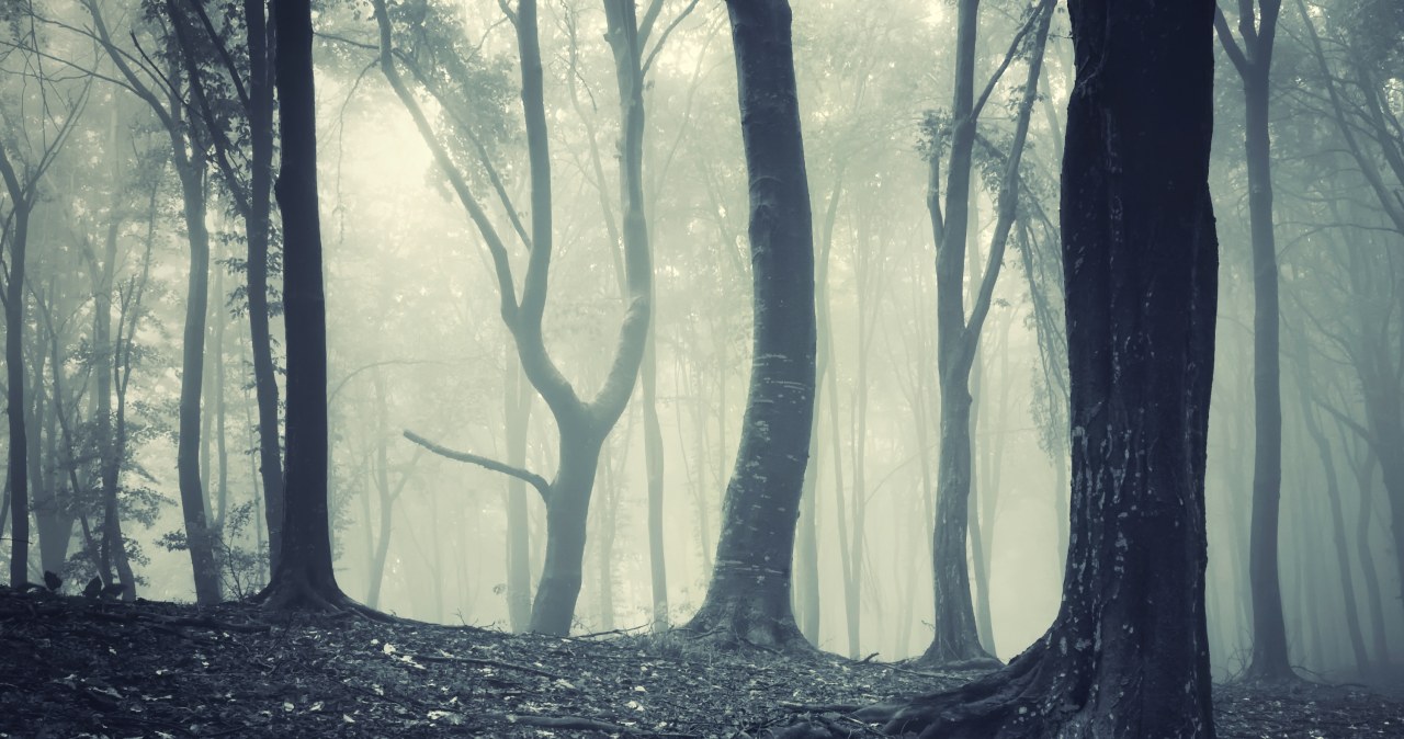 “Czuli się śledzeni”. Zagadka zaginionych ludzi do dziś pozostaje nierozwiązana