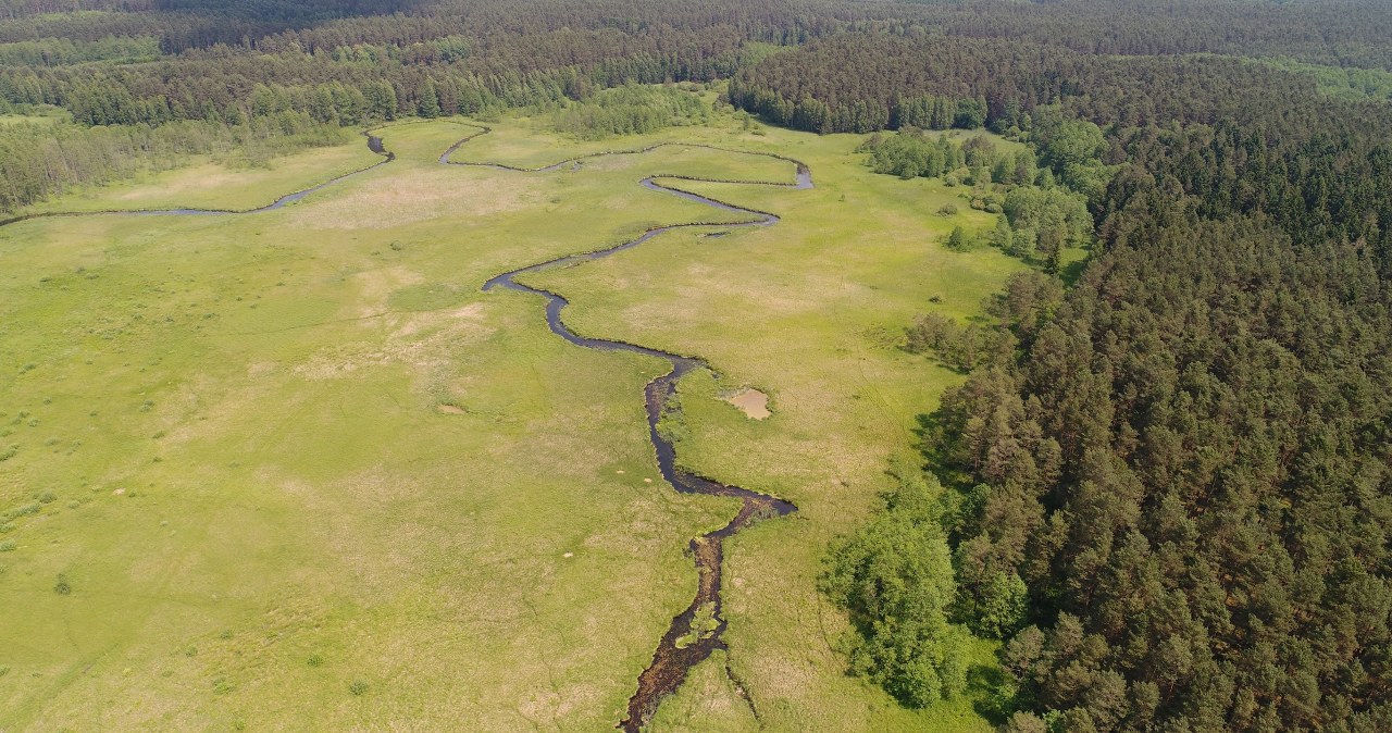 Polscy przyrodnicy mówią „dość”. Wykupują bezcenne tereny na własną rękę