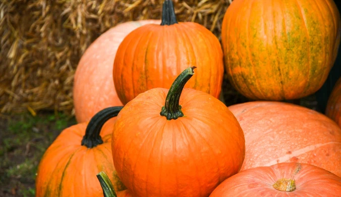 Kontrowersyjne święto. "Część praktyk w sprzeczności z nauką Kościoła"