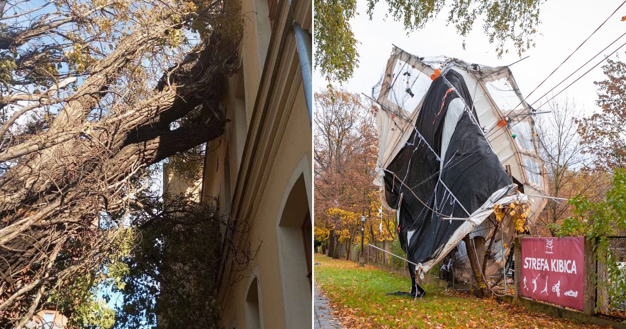 wiadomości,aktualności,Interia Powalone drzewa, uszkodzone pojazdy. Załamanie pogody na Dolnym Śląsku