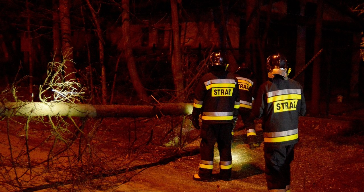 Ponad 1500 interwencji w całej Polsce. Powalone drzewa, zalane ulice