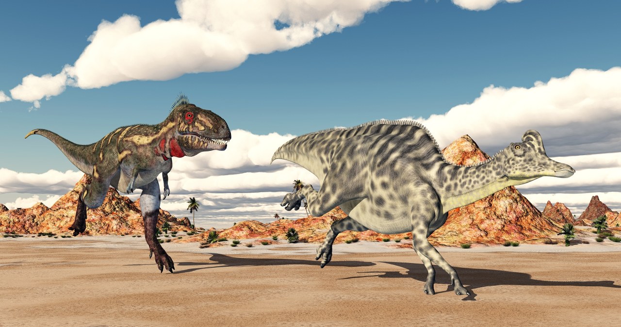 Szczątki uważane za małego tyranozaura okazały się nowym gatunkiem