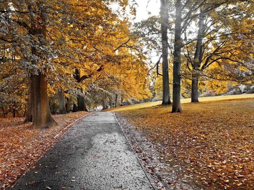 Nawet 19 stopni. Pogoda na Wszystkich Świętych może zaskoczyć
