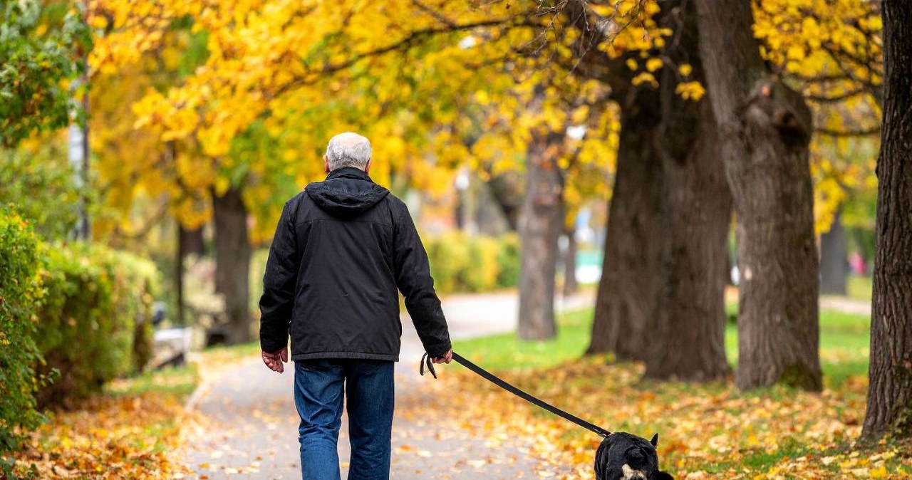 Naukowcy badali to 8 lat. Oto cechy spaceru, który naprawdę wydłuża życie