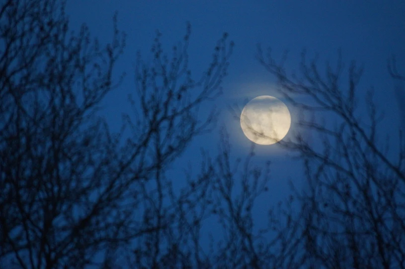 Niesamowite zjawiska na niebie w listopadzie. Nie przegap okazji