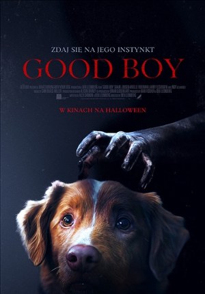 Good Boy