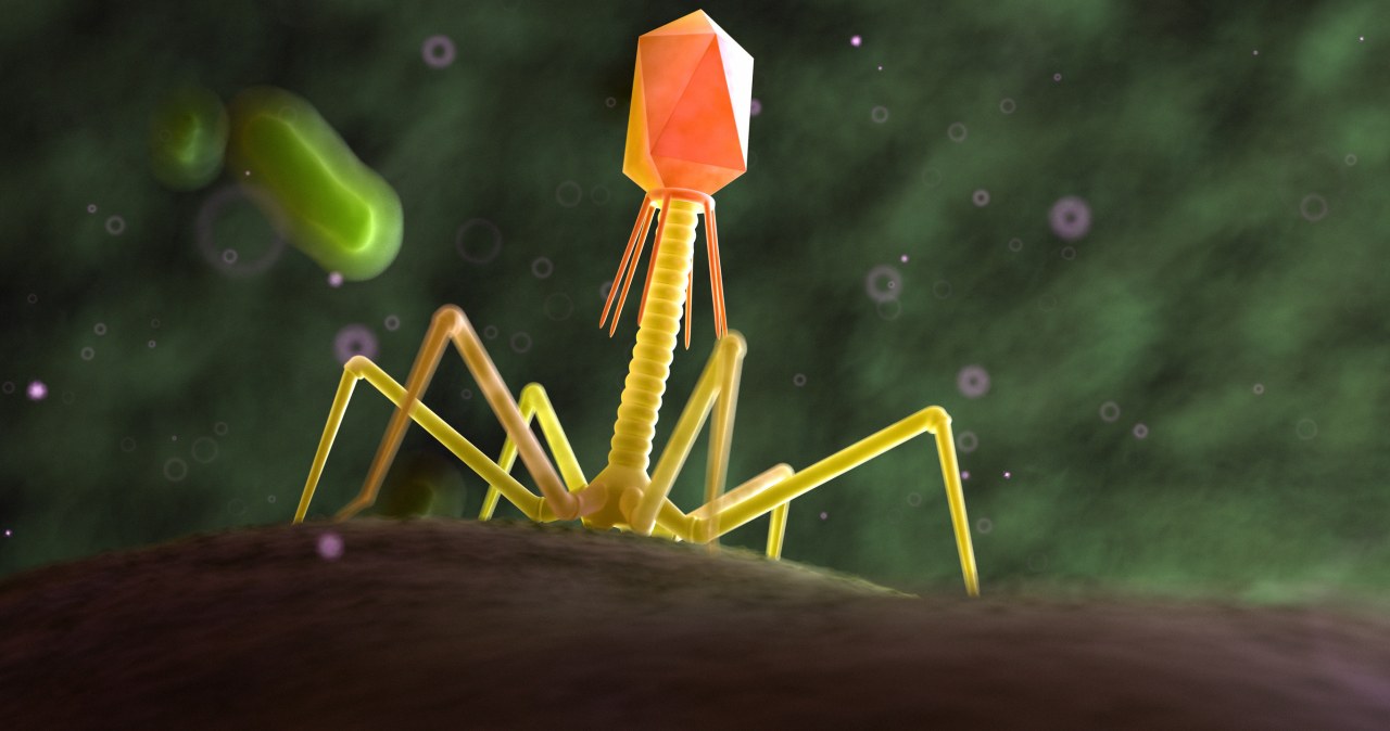 Polacy opracowali przełomową technologię. Uzdrowi ukraińskich żołnierzy