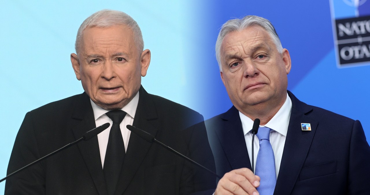 Węgierski model wzorcem dla PiS. Tak chcą rozwiązać problem dzietności