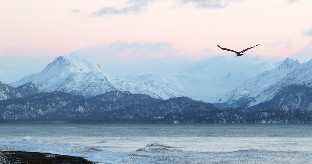 Potężny huragan zniszczył cenne artefakty na Alasce