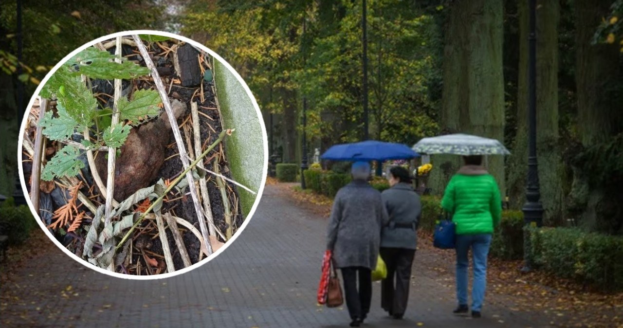 Wrocław. Niewybuch znaleziony przy cmentarzu. Wezwano saperów