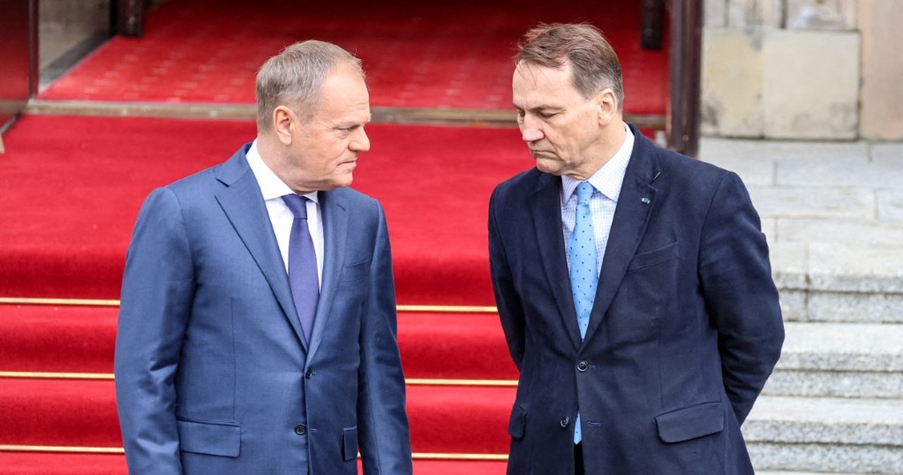 Papa kontra Marko. Zapytali smerfów, kogo woleliby jako premiera