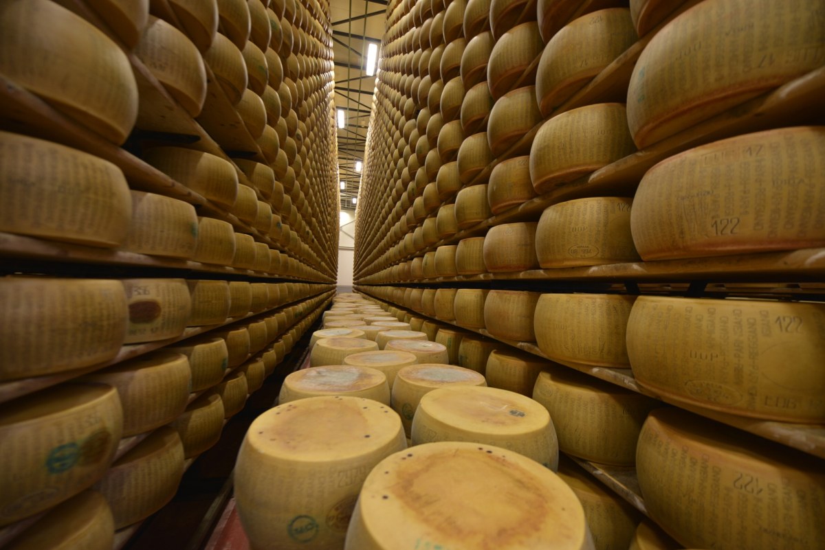 Wielka kradzież parmezanu we Włoszech. Złodzieje wynieśli ser wart fortunę