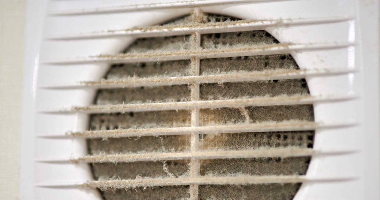 Nie ignoruj brudu w tym miejscu. Lenistwo grozi zdrowiu i życiu