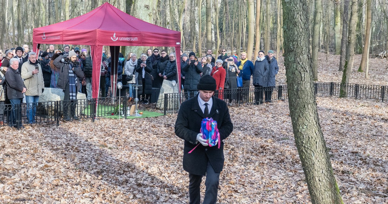 Nowy rodzaj pochówku wchodzi do Polski. W zgodzie z naturą za 490 zł