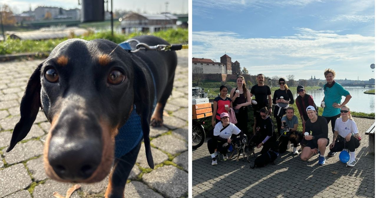Biegasz z psem? W Krakowie ruszył klub stworzony dla ciebie