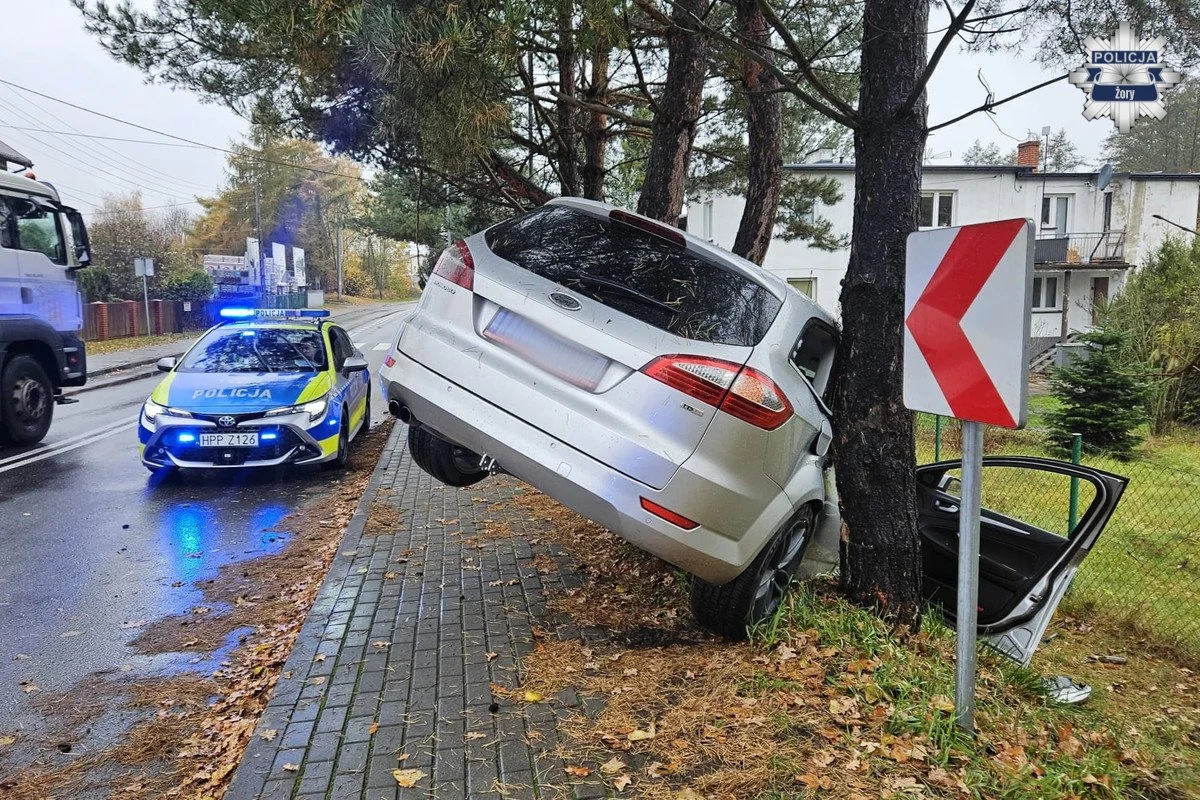 Groźna sytuacja na ulicy Pszczyńskiej w Żorach. Rano osobowy ford uderzył w drzewo, kierowca był pijany. 27-letni obywatel Ukrainy miał w organizmie niemal 2,5 promila alkoholu. Policjantom tłumaczył, że "rano wypił jedno piwo", a dzień wcześniej też pił alkohol.