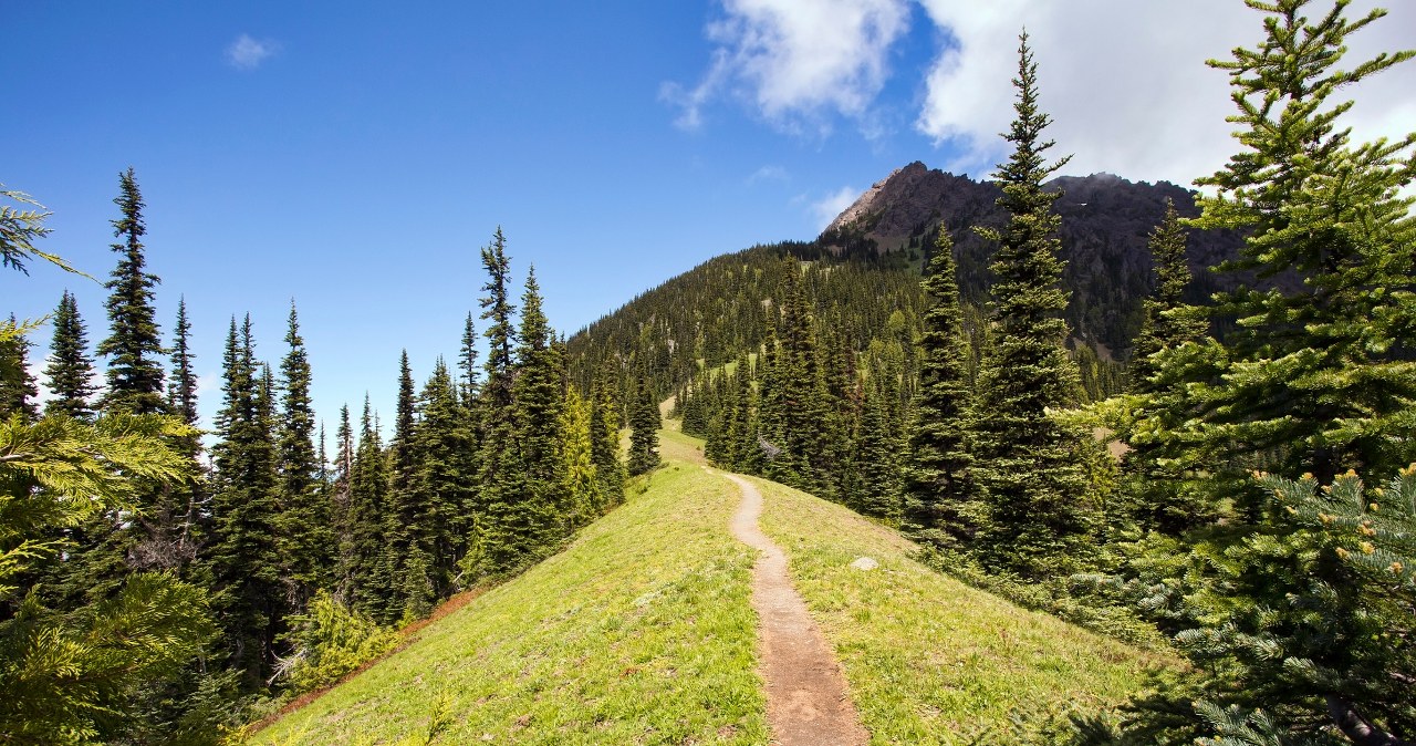 Idealny szlak na krótki dzień. Po drodze schronisko i widokowa polana