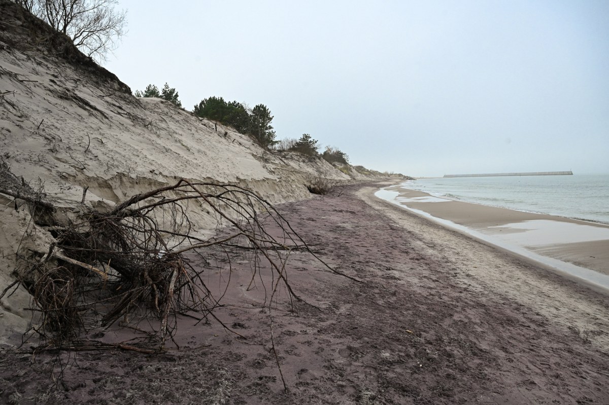 Fioletowa plaża w Mielnie. Niezwykłe zjawisko przyciąga tłumy