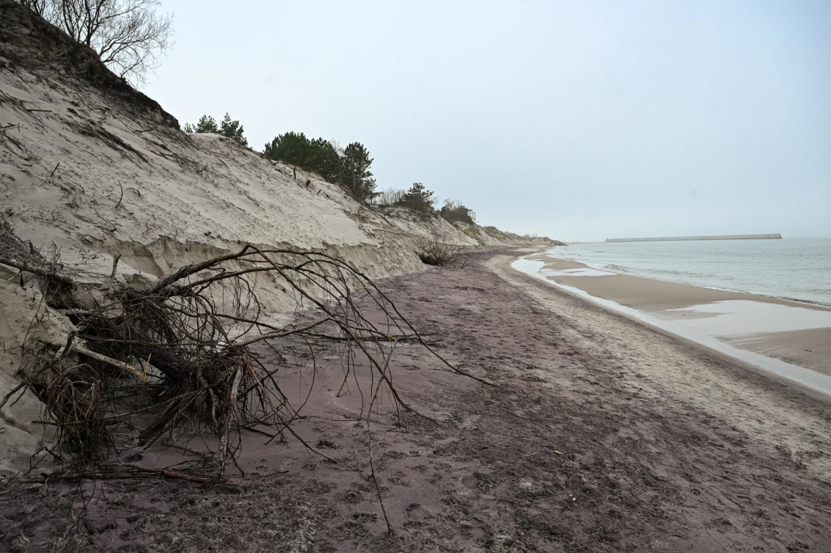 Spacerując na wschód od Kanału Jamneńskiego w Mielnie (woj. zachodniopomorskie), na odcinku około pięciuset metrów, można natknąć się na niezwykły widok. Plaża pokryła się kilkudziesięciocentymetrową warstwą piasku o intensywnie fioletowej barwie. Jak podkreślają spacerujący tam turyści, kolor przypomina lawendę lub jagody.