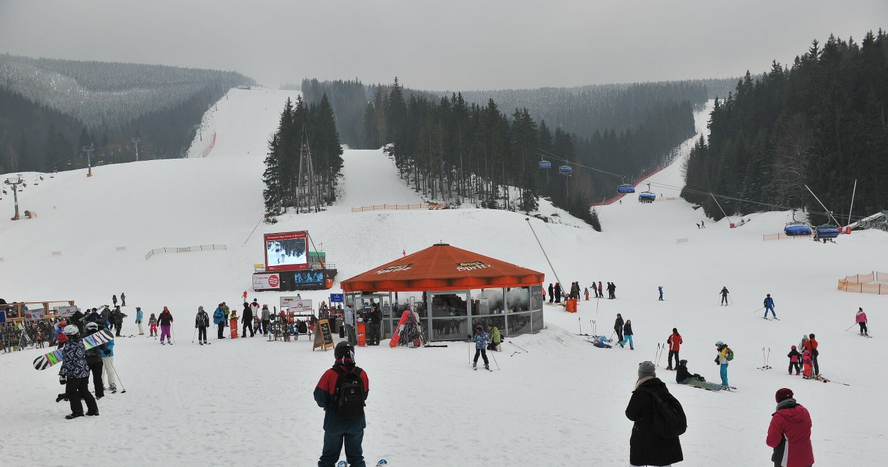 Praca sezonowa w Czechach tuż przy granicy. Płacą choćby 70 zł za godzinę