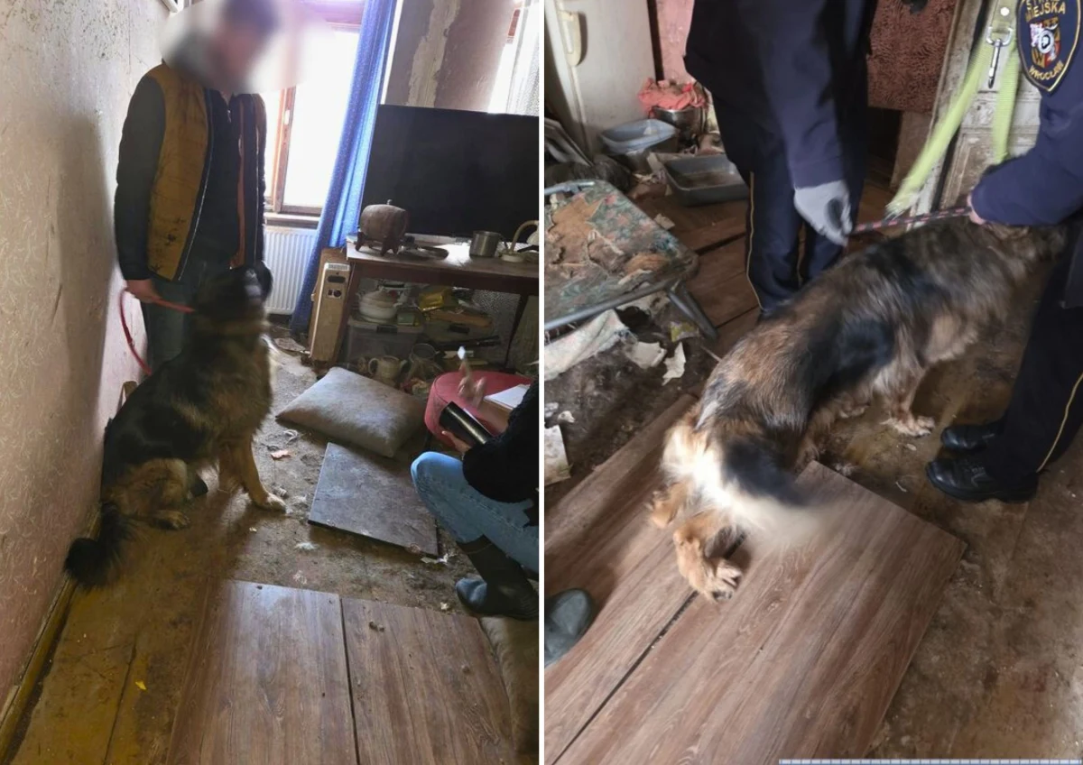 Dwa owczarki niemieckie zamknięte w brudnym pomieszczeniu, bez wody i jedzenia, brodzące we własnych odchodach - taki widok zastali wrocławscy policjanci, którzy interweniowali w mieszkaniu 73-latka. Psy zostały natychmiast odebrane właścicielowi, któremu obecnie grozi nawet 5 lat więzienia.