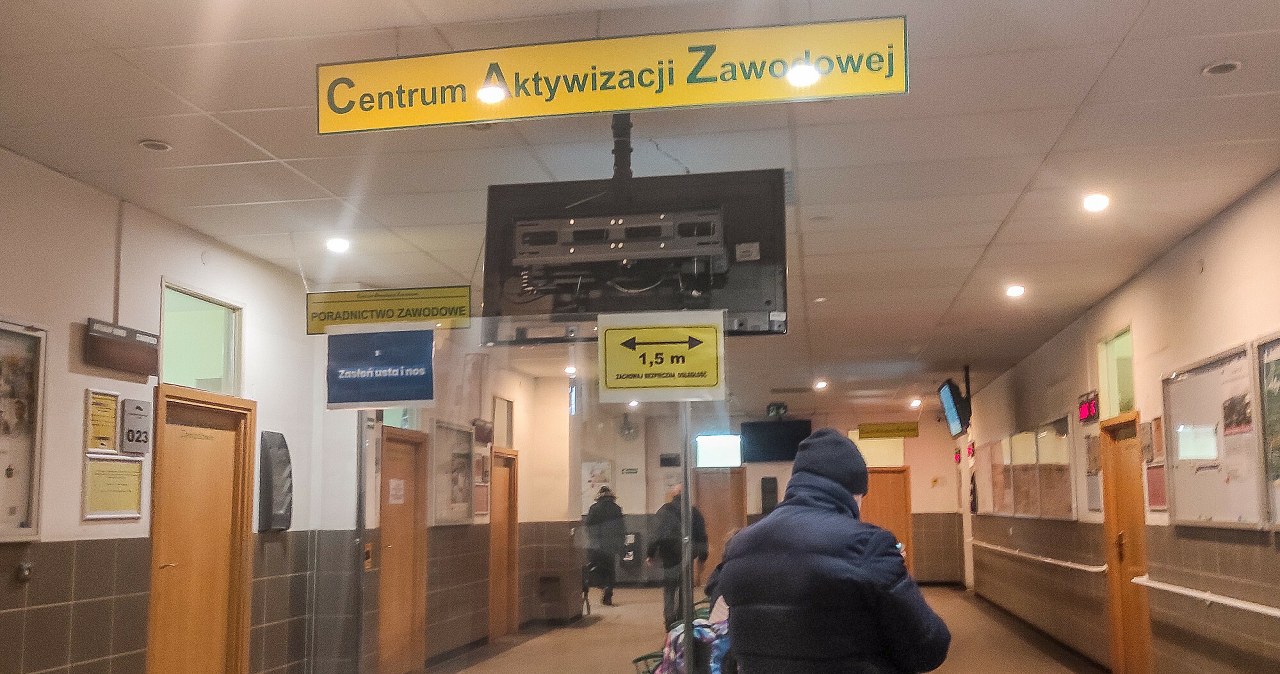 Praca przed Bożym Narodzeniem. Można zarobić 1180 zł "na rękę" za dzień