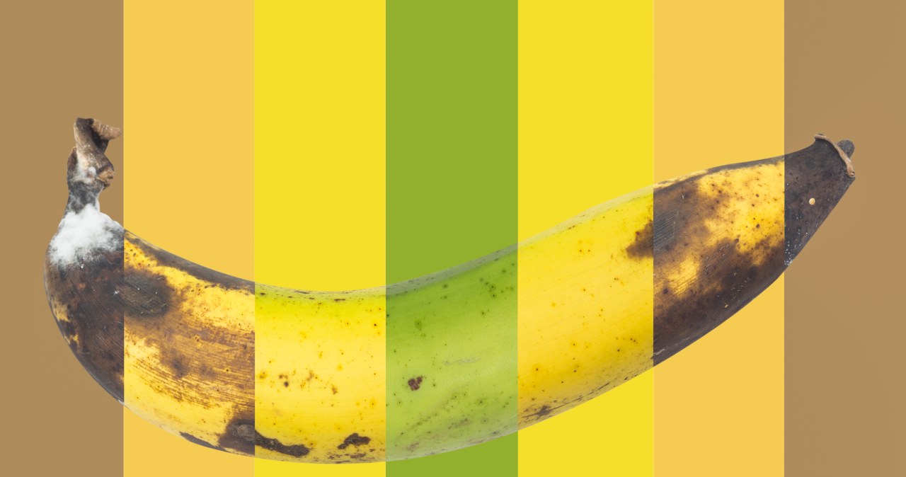 Stopień dojrzałości banana ma znaczenie. Sprawdź, jaki wybrać dla siebie!