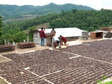 Sekrety świata przypraw